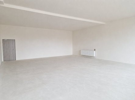 Pronájem obchodní prostory, 88 m²