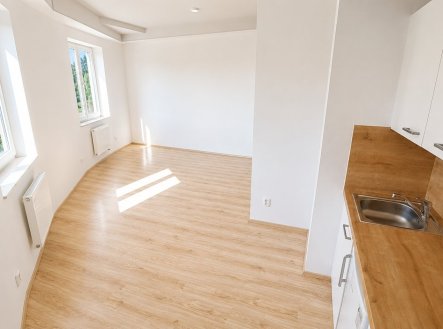 Pronájem bytu, 1+kk, 34 m²