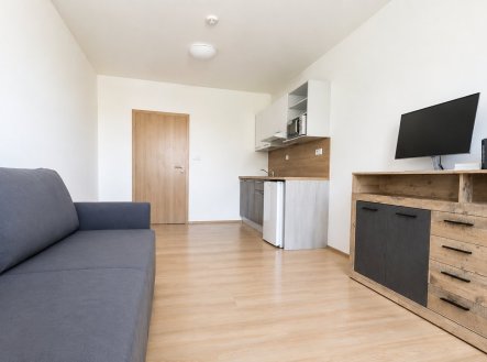 Pronájem bytu, 1+kk, 28 m²