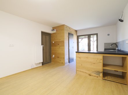 Pronájem bytu, 1+1, 27 m²