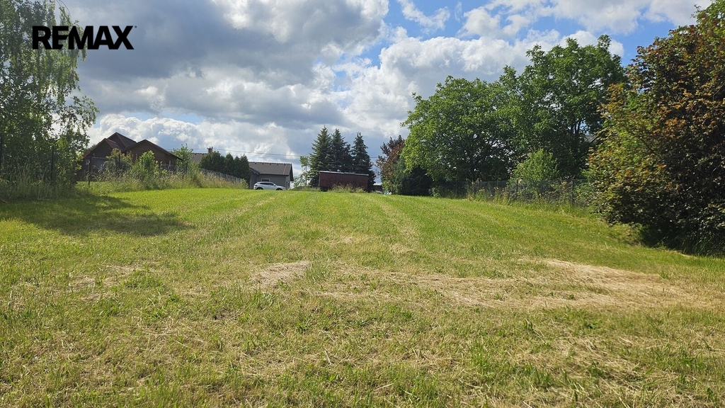 20250620-101031.jpg
