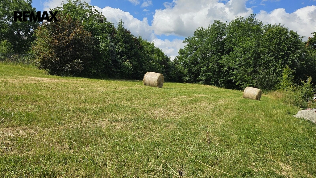 20250620-101043.jpg