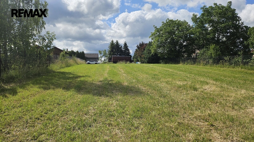20250620-101113.jpg