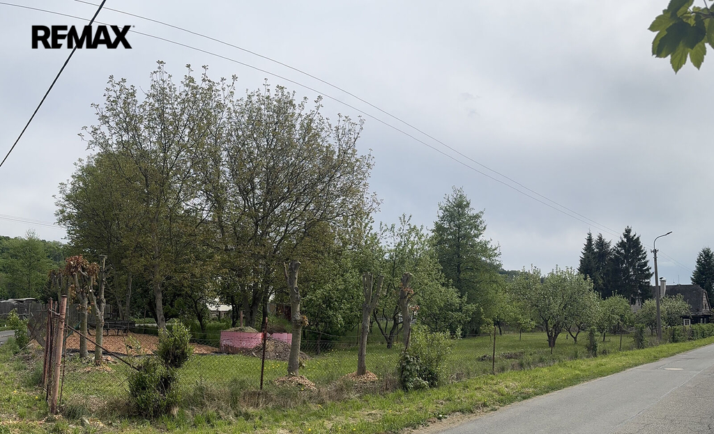 img-2456.jpg