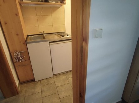 Pronájem bytu, 1+kk, 25 m²