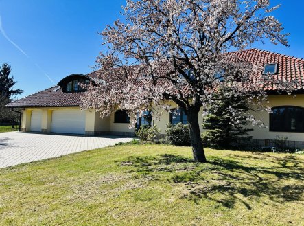 Prodej domu/vily, 392 m²