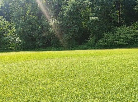 Prodej pozemku, zahrada, 670 m²