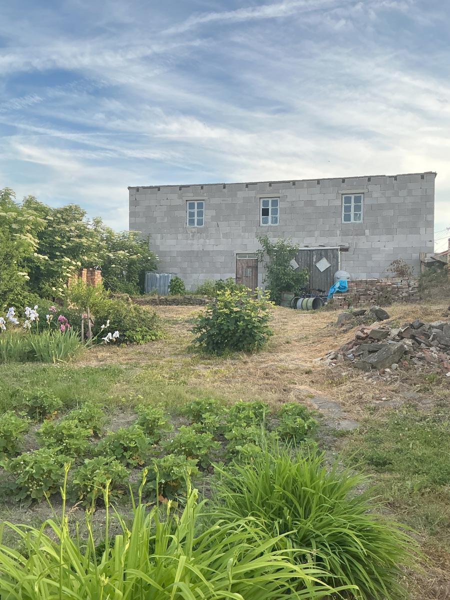 IMG_0653