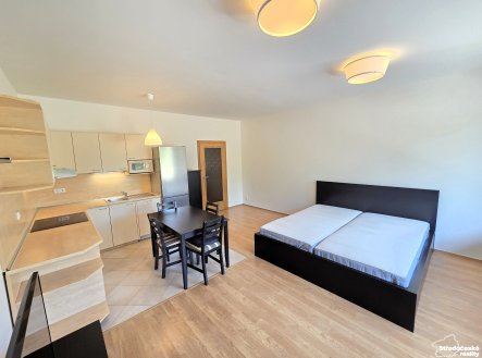 Pronájem bytu, 1+kk, 47 m²