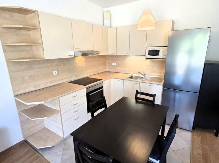 Pronájem bytu, 1+kk, 47 m²