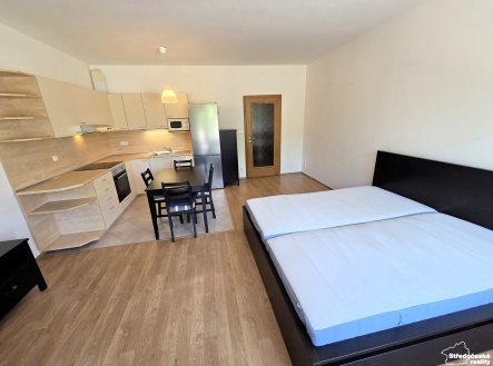 Pronájem bytu, 1+kk, 47 m²