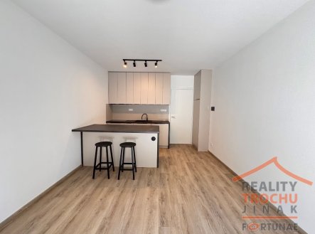 Pronájem bytu, 1+kk, 49 m²