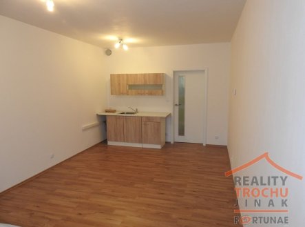 Pronájem bytu, 1+kk, 34 m²