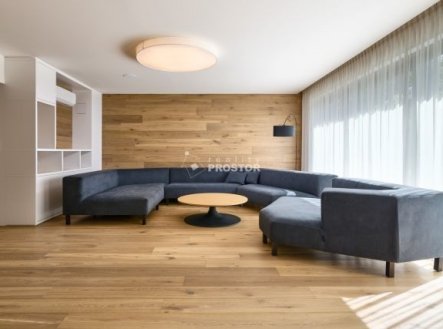 Pronájem domu/vily, 433 m²