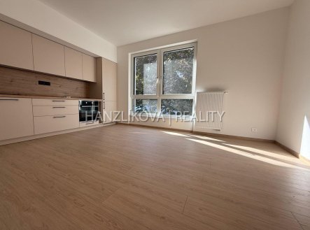Pronájem bytu, 2+kk, 36 m²