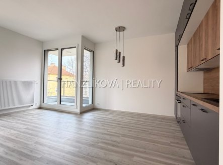 Pronájem bytu, 2+kk, 49 m²