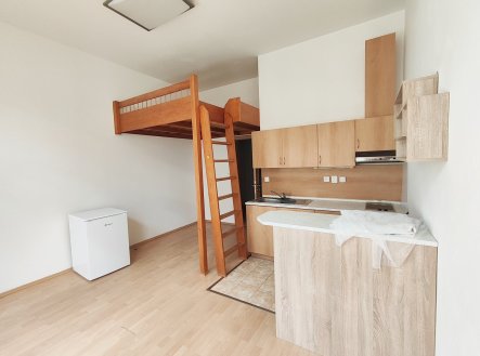 Pronájem bytu, 1+kk, 25 m²