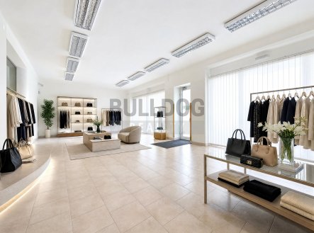 Prodej nájemního domu, 672 m²