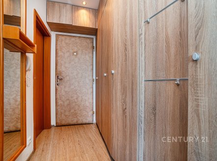 Pronájem bytu, 1+1, 28 m²