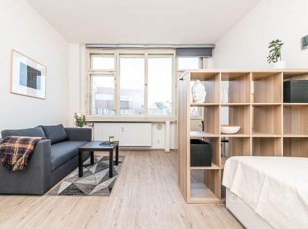 Pronájem bytu, 1+1, 28 m²