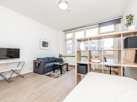 Pronájem bytu, 1+1, 28 m²