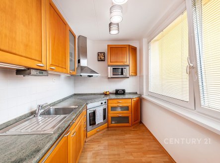 Pronájem bytu, 3+1, 76 m²
