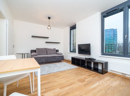 Pronájem bytu, 1+kk, 30 m²