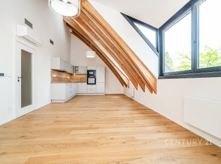 Pronájem bytu, 1+kk, 48 m²