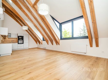 Pronájem bytu, 1+kk, 48 m²