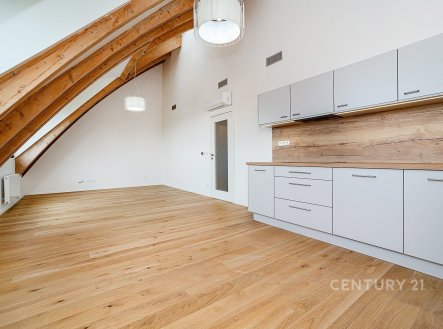 Pronájem bytu, 1+kk, 48 m²