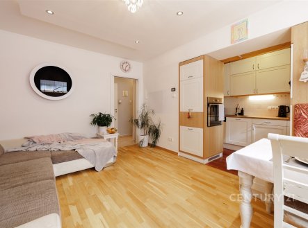 Prodej bytu, 3+kk, 66 m²