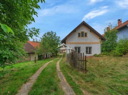 Prodej domu/vily, 300 m²
