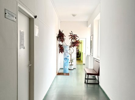 Pronájem komerčního objektu, jiný, 76 m²