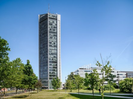 Pronájem kanceláře, 340 m²