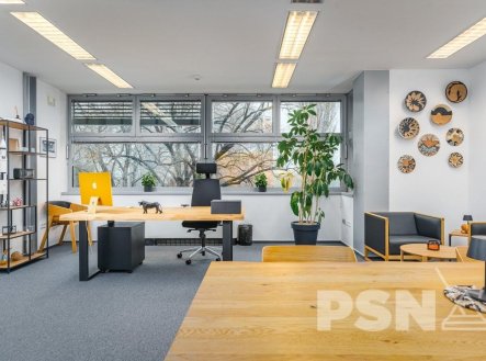Pronájem kanceláře, 450 m²