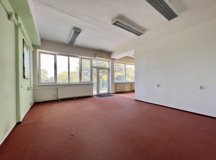 Pronájem kanceláře, 250 m²