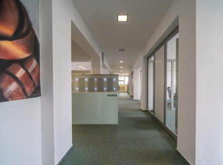 Pronájem kanceláře, 243 m²