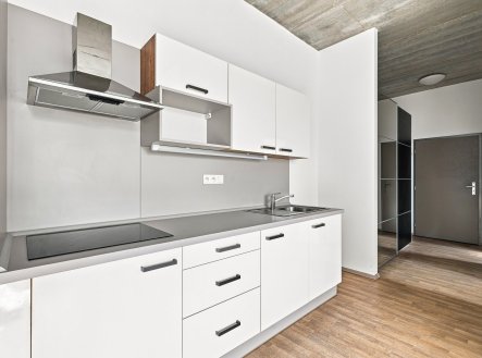 Pronájem domu/vily, 1 382 m²