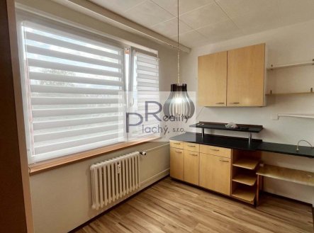 Pronájem bytu, 1+1, 33 m²