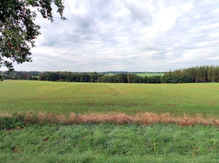 foto11.jpg | Prodej - pozemek, zemědělská půda, 22 505 m²