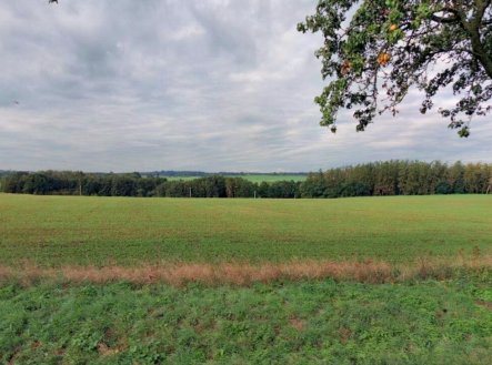 Prodej pozemku, zemědělská půda, 22 505 m²