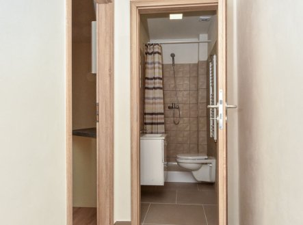 Pronájem bytu, 2+kk, 37 m²