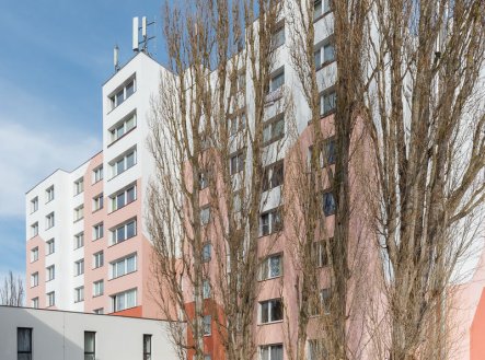 Pronájem bytu, 1+1, 46 m²