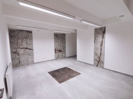 Pronájem komerčního objektu, jiný, 24 m²