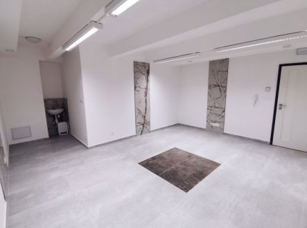 Pronájem komerčního objektu, jiný, 24 m²