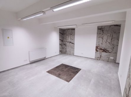Pronájem komerčního objektu, jiný, 24 m²