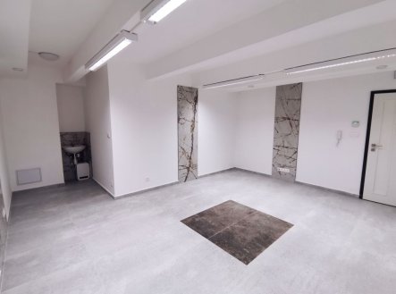 Pronájem komerčního objektu, jiný, 24 m²