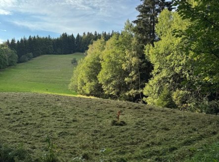 Prodej pozemku, ostatní, 1 194 m²