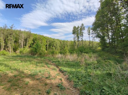 Prodej pozemku, les, 17 681 m²
