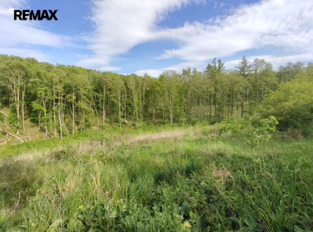 Prodej pozemku, les, 17 681 m²